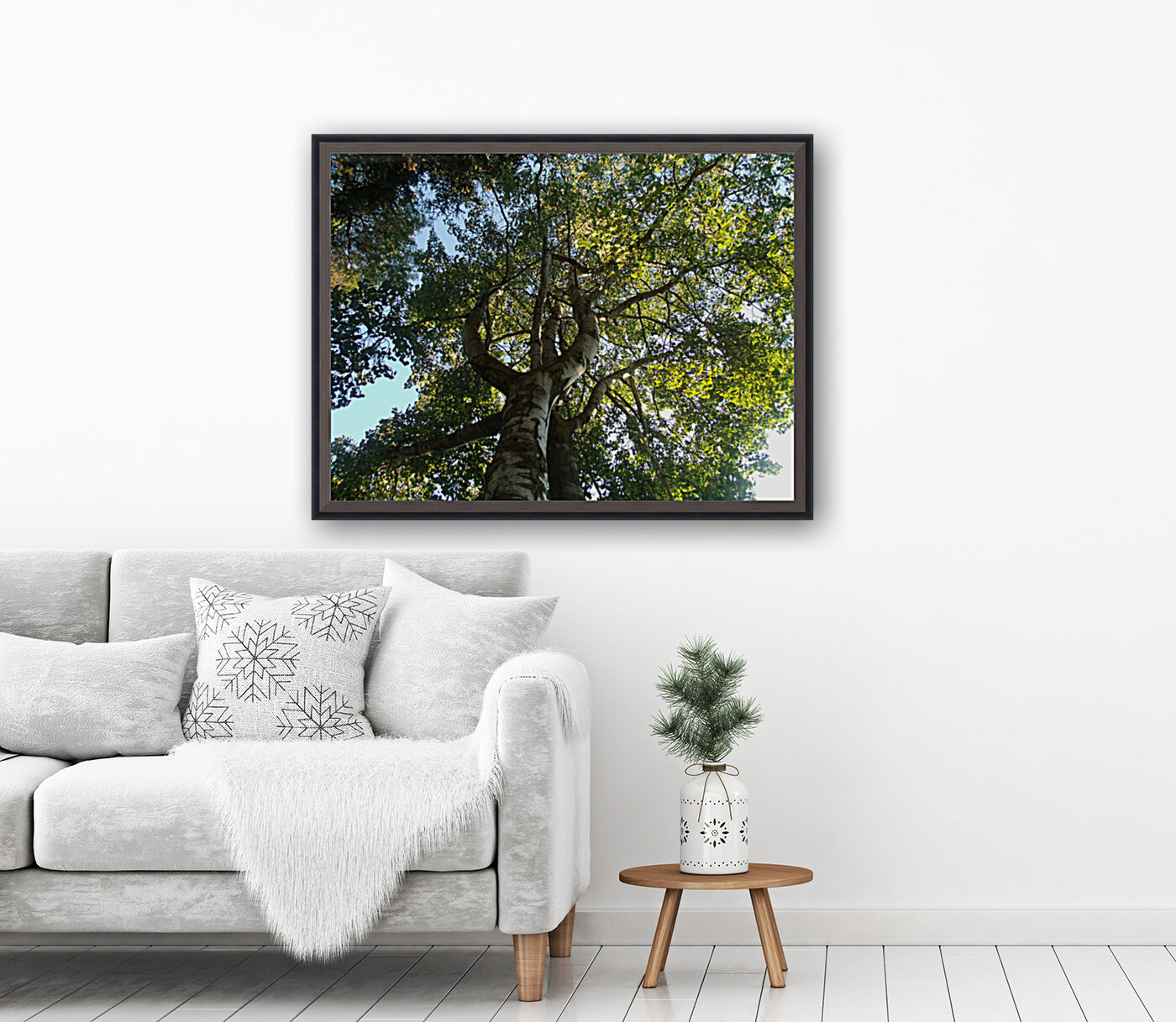 Beautiful Fall Green Trees 2 Reproduction