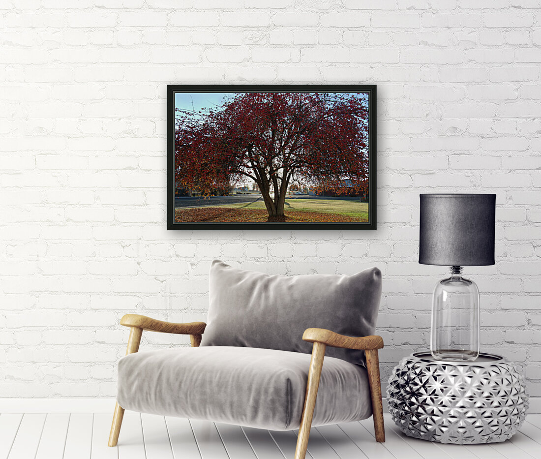 Crabapple Tree 6 Reproduction