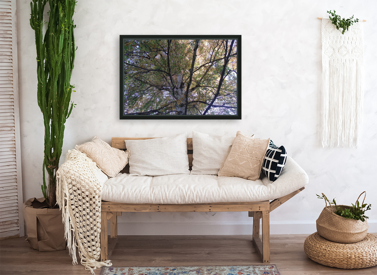 Birch Trees In Fall 1 Reproduction