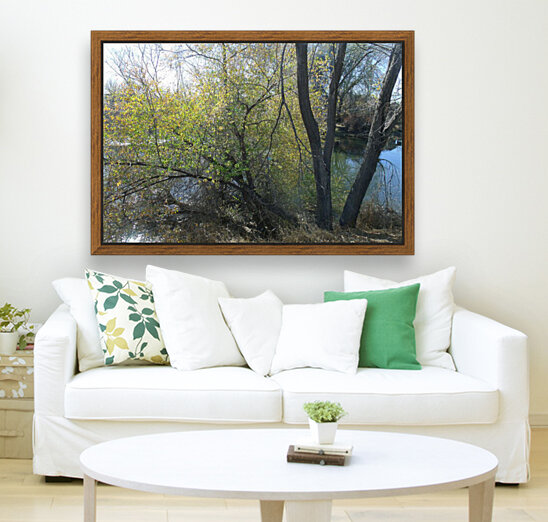 Lost River Trees 5 Reproduction