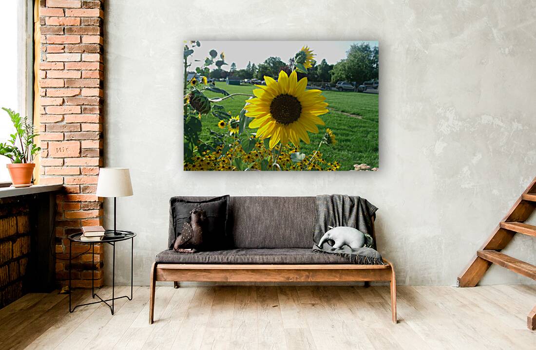 Sunflower 1 Reproduction