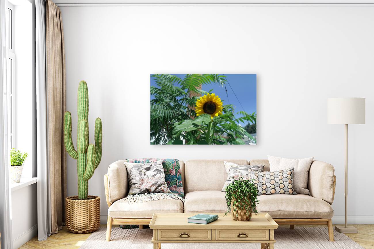Sunflower 3 Reproduction