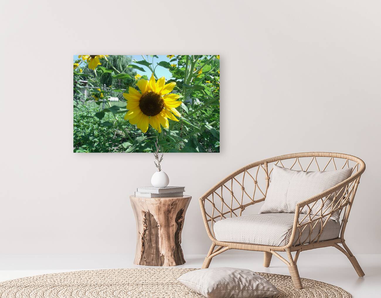 Sunflower 4 Reproduction