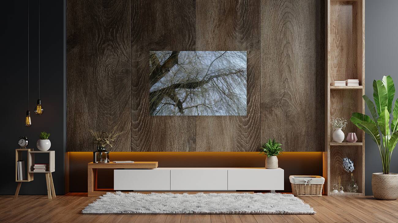  Winter Willow 2 Reproduction