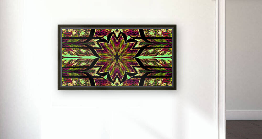 Lotus In Glow 11 by Sherrie Larch
