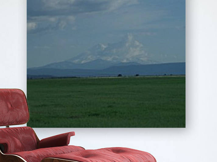 Mount Shasta: The Runaway Bride 1 by Sherrie Larch