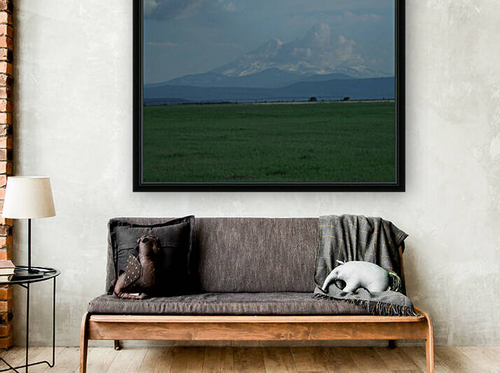 Mount Shasta: The Runaway Bride 2 by Sherrie Larch