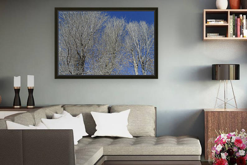Winter Trees And Blue Sky 2 by Sherrie Larch