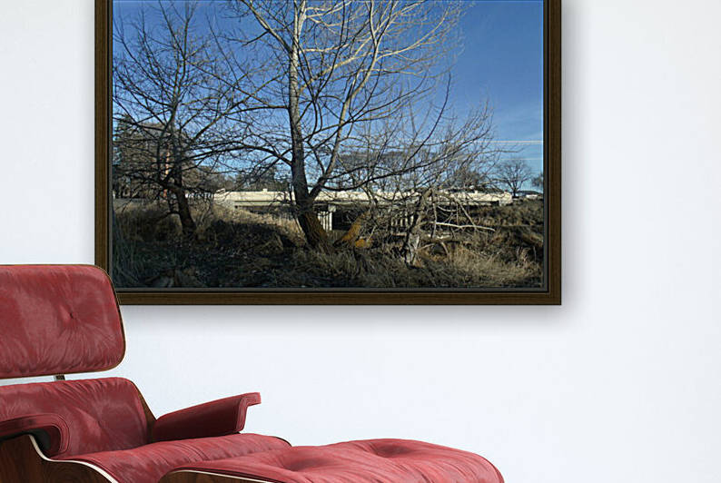 Lost River Winter Trees 4 by Sherrie Larch