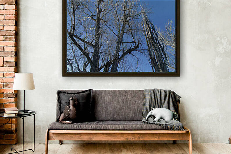 Lost River Winter Trees 7 by Sherrie Larch