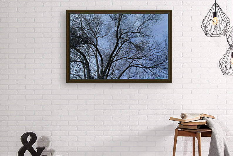 February Tree 1 by Sherrie Larch