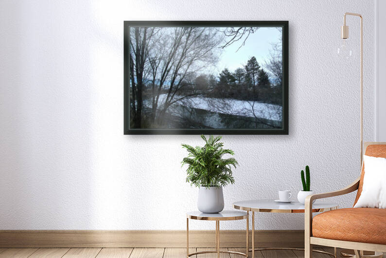 Spring Snow Trees 5  by Sherrie Larch
