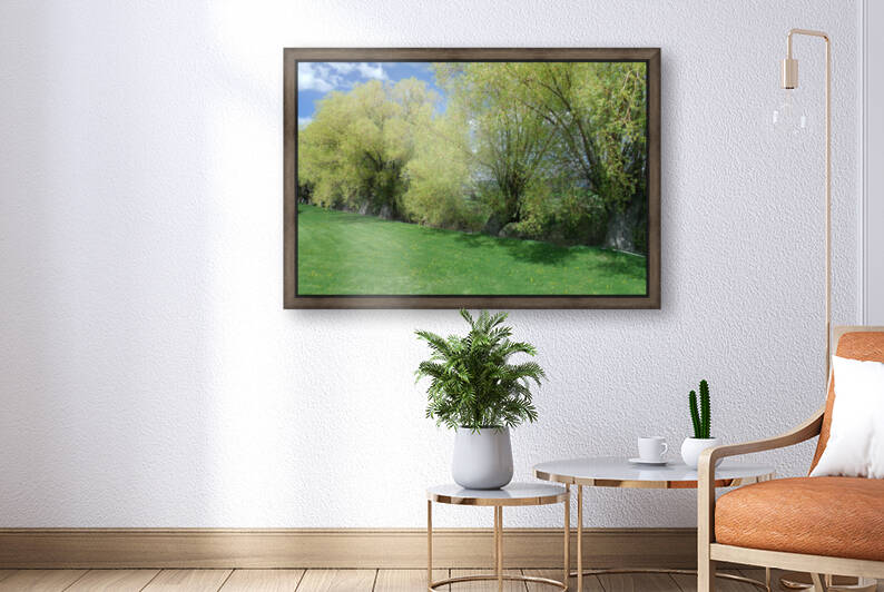 Northern California Spring Willows 1 by Sherrie Larch