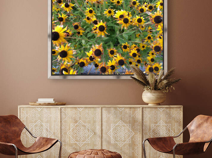 Black-Eyed Susans 2 by Sherrie Larch