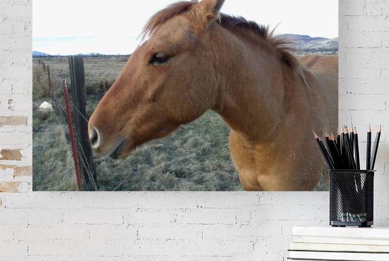 Beautiful Golden Mare 3 by Sherrie Larch