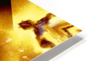 A Flower 1 HD Metal print