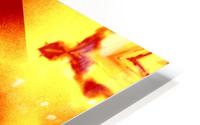 A Flower 12 HD Metal print