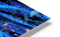 Blue Grace HD Metal print
