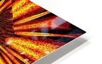 Sunshine Wildflower 2 HD Metal print