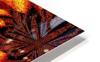 Sunshine Wildflower 1 HD Metal print