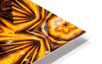 Golden Dandelion HD Metal print
