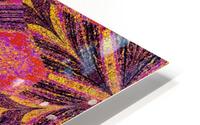 Desert Star HD Metal print