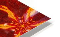 Fire Jasmine HD Metal print