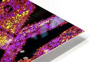 Psychedelic Jasmine 6 HD Metal print