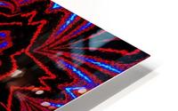 Night Star Flower HD Metal print
