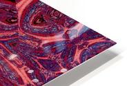 Metamorphosis Rose 2 HD Metal print
