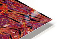 Psychedelic Daisy 3 HD Metal print