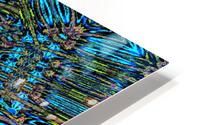 Psychedelic Daisy 2 HD Metal print