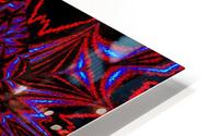 Night Peony HD Metal print