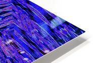 Blue Carnation HD Metal print