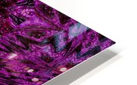Pink Carnation HD Metal print