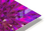 Morining Glory 2 HD Metal print