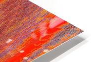Orange Experiment 1  HD Metal print