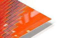 Orange Experiment 2 HD Metal print