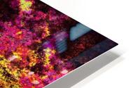 Plasma Light 13  HD Metal print