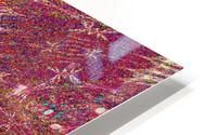 A Butterfly Ghost HD Metal print