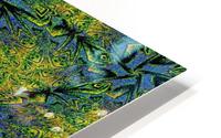 Nature Butterfly HD Metal print