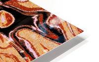 Sand Monarch  HD Metal print