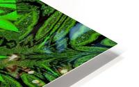 Emerald  Daisy HD Metal print