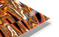 Orange White Plumerias HD Metal print
