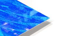 Blue Sky Wildflower HD Metal print