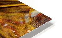 Golden Compass Wildflower HD Metal print