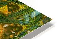 Green Sunshine Flower HD Metal print