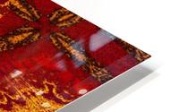 Meadow Bloom 3 HD Metal print