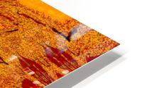 Orange Dawn 2 HD Metal print
