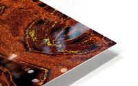 Torn Flower HD Metal print